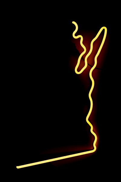 Border for Wisconsin Miller Lite Neon Sign Replacement Tube